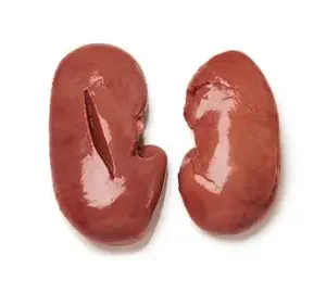 Frozen Pork Kidneys